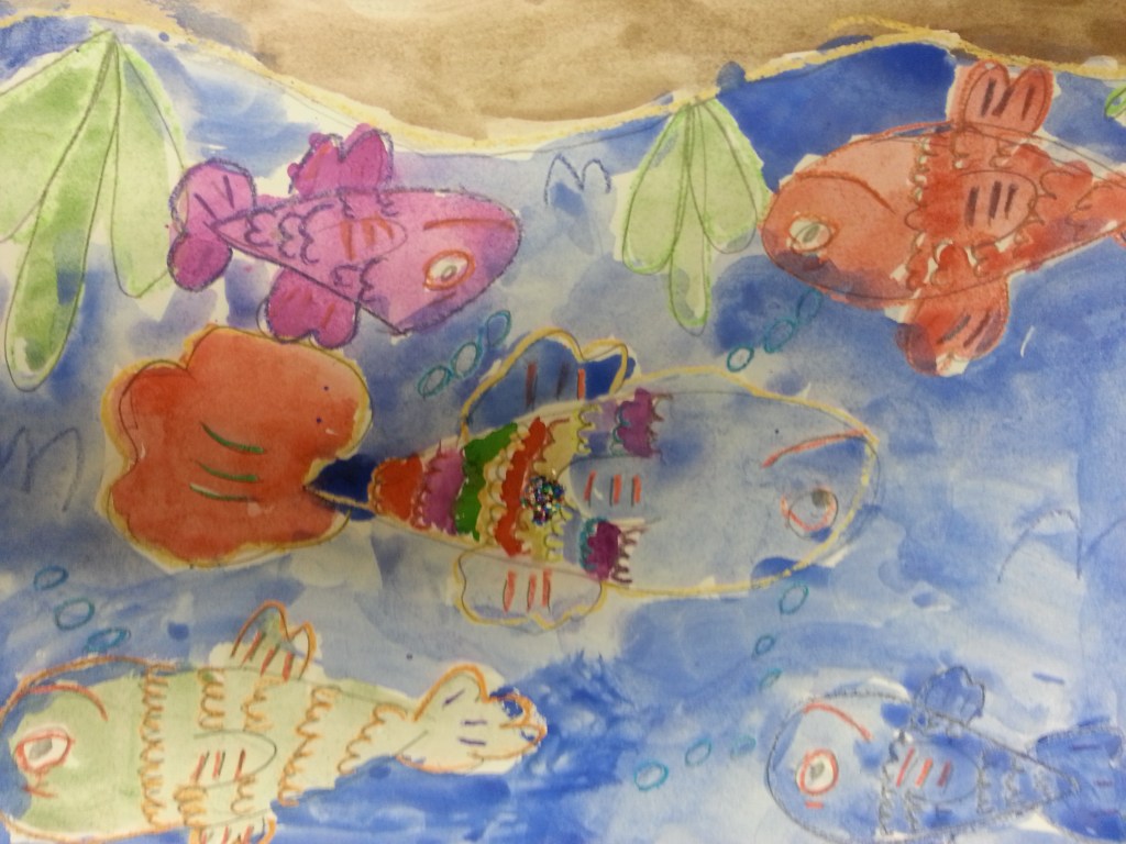 Rainbow Fish1